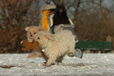 Feb28_07_249.JPG