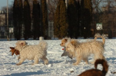 Feb28_07_253.JPG