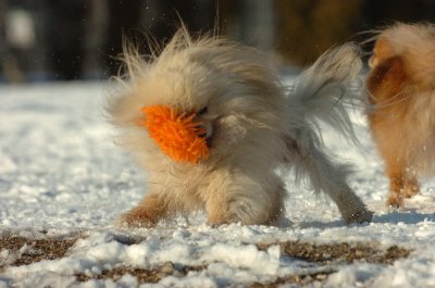 Feb28_07_258.JPG