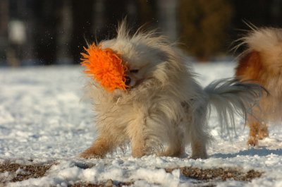 Feb28_07_259.JPG