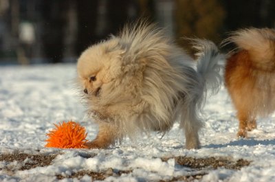 Feb28_07_260.JPG
