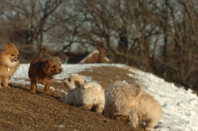 Feb28_07_261.JPG