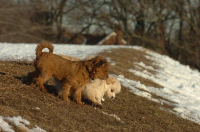 Feb28_07_266.JPG
