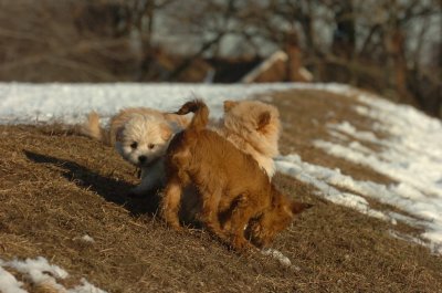 Feb28_07_267.JPG