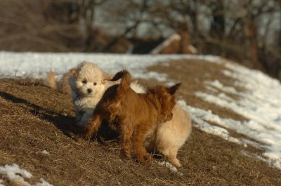 Feb28_07_268.JPG