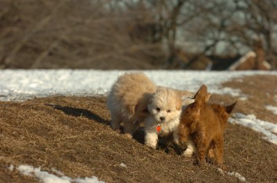 Feb28_07_269.JPG