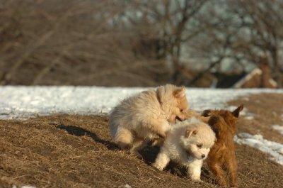 Feb28_07_270.JPG
