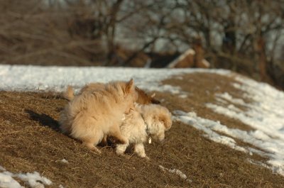 Feb28_07_271.JPG