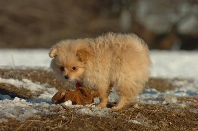 Feb28_07_272.JPG