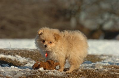 Feb28_07_273.JPG