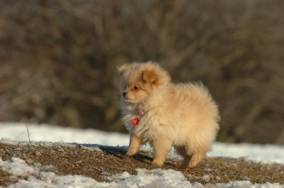 Feb28_07_278.JPG