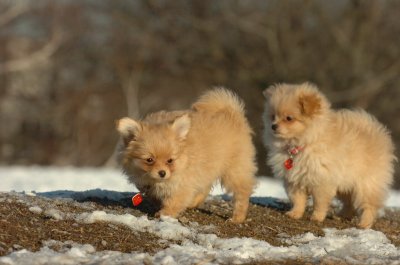 Feb28_07_279.JPG
