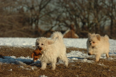 Feb28_07_132.JPG