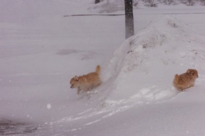Mar1_07_163.JPG