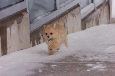 Mar1_07_165.JPG
