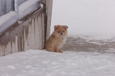 Mar1_07_169.JPG