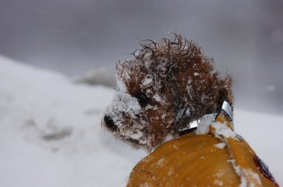 Mar1_07_207.JPG