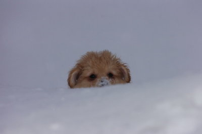 Mar1_07_213.JPG