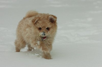 Mar1_07_070.JPG