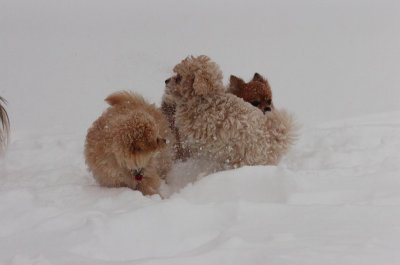 Mar1_07_073.JPG