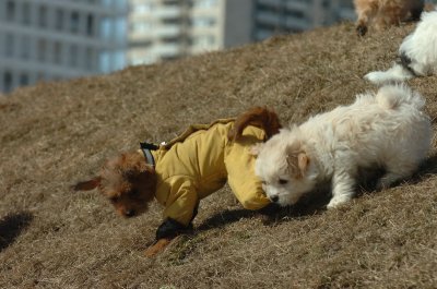 Mar8_07_1365.JPG