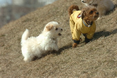 Mar8_07_1371.JPG