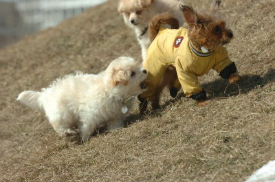 Mar8_07_1372.JPG