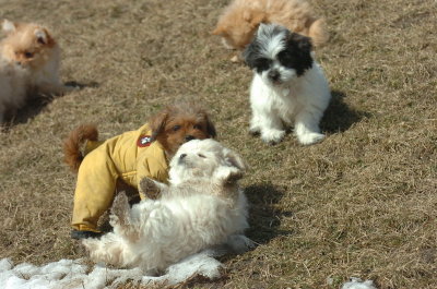 Mar8_07_1378.JPG
