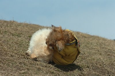 Mar8_07_1386.JPG