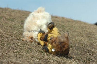 Mar8_07_1387.JPG