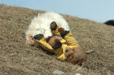 Mar8_07_1388.JPG