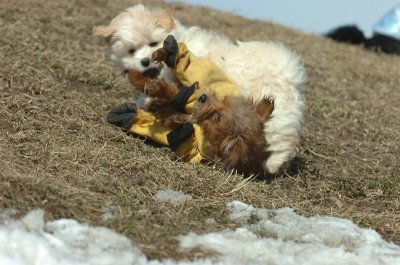 Mar8_07_1390.JPG