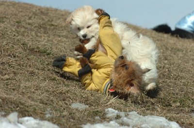 Mar8_07_1391.JPG