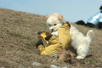 Mar8_07_1392.JPG