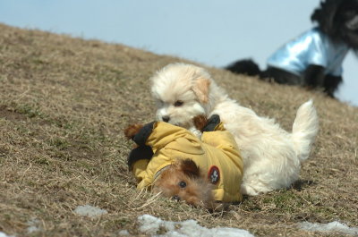 Mar8_07_1393.JPG
