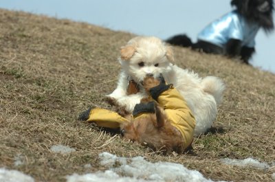Mar8_07_1394.JPG