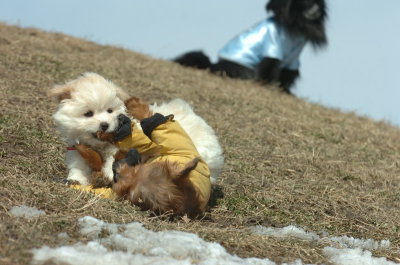 Mar8_07_1396.JPG