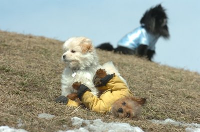 Mar8_07_1398.JPG