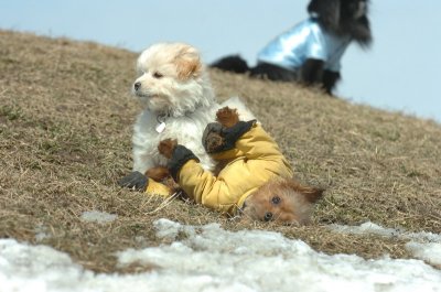 Mar8_07_1399.JPG