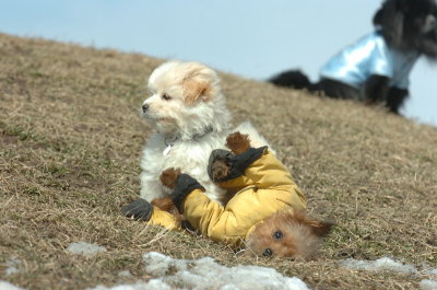 Mar8_07_1400.JPG