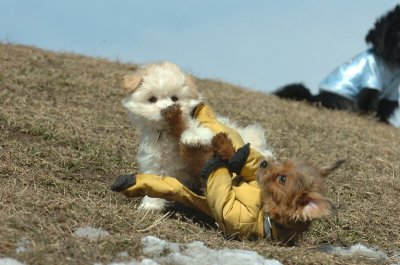 Mar8_07_1403.JPG
