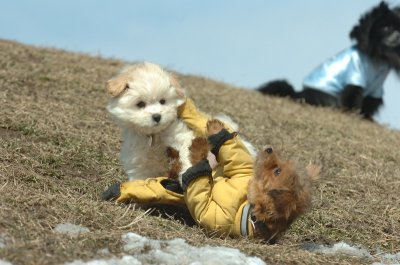 Mar8_07_1404.JPG
