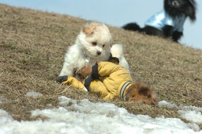 Mar8_07_1405.JPG