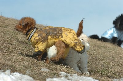 Mar8_07_1407.JPG