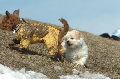 Mar8_07_1408.JPG