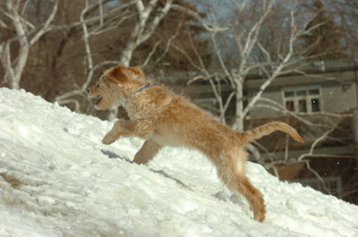Mar8_07_1470.JPG