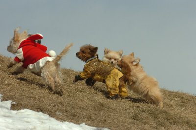Mar8_07_1486.JPG