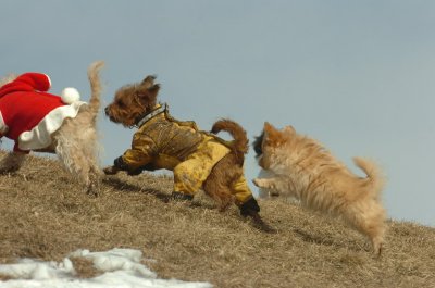 Mar8_07_1487.JPG