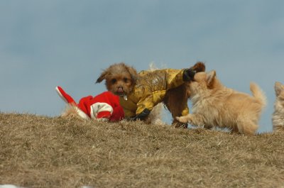 Mar8_07_1489.JPG