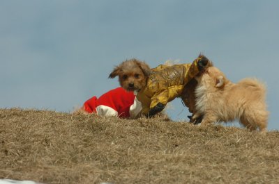 Mar8_07_1490.JPG